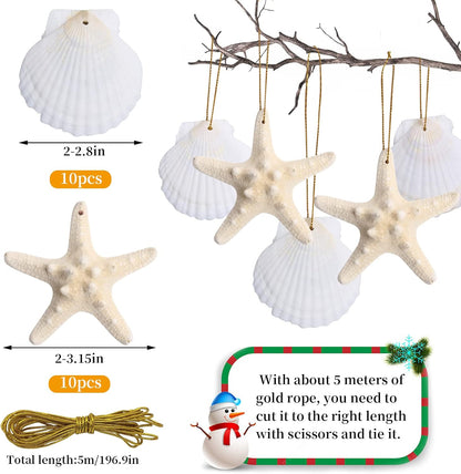 20 PCS Christmas Tree Hanging Ornaments Natural Starfish Sea Shells Decorations Beach Style